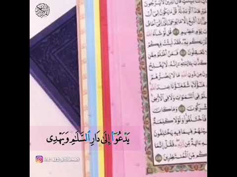 والله يدعوا إلى دار السلام تلاوه هادئه تريح النفس والله يدعوا إلى دار السلام تلاوه هادئه تريح النفس
