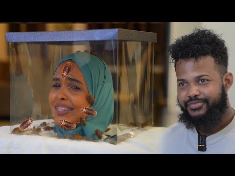 U ADKAYSO BARANBARADA