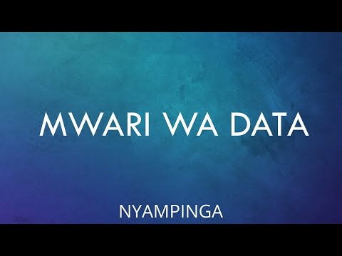 Mwari Wa Data Nyampinga