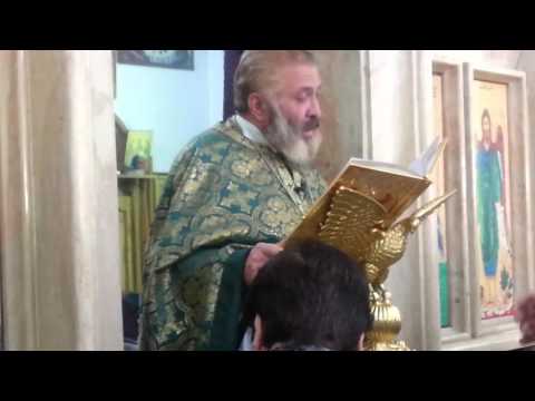 قراءة إنجيل أحد الشعانين 2016