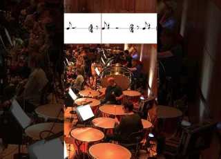 Stravinsky The Rite Of Spring Bass Drum Moment Shorts