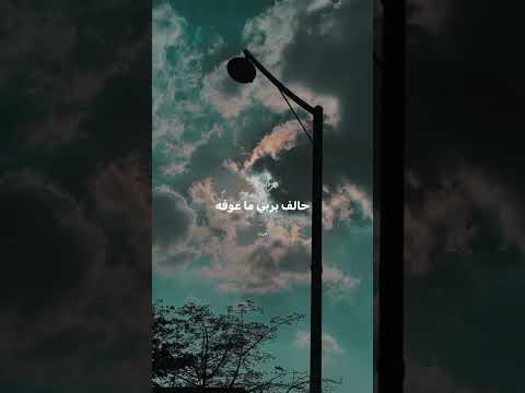 رفت رفت محمود شاهين حالات واتس وانستاغرام تيك توك رفت رفت محمود شاهين حالات واتس وانستاغرام تيك توك