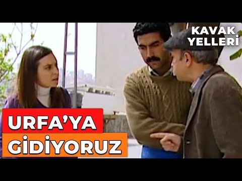 Bilal Deva Ve Canan ı Urfa Ya Götürmeyi Düşünüyor Kavak Yelleri 45 Bölüm