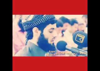 من عرين الأسد
