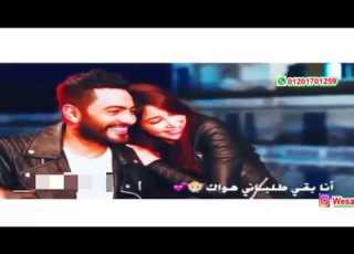  حالة واتس انا بقي طلباني هواك تامر حسني