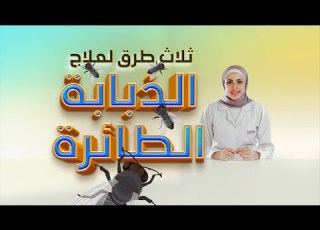 3 طرق لعلاج الذبابة الطائرة في العين