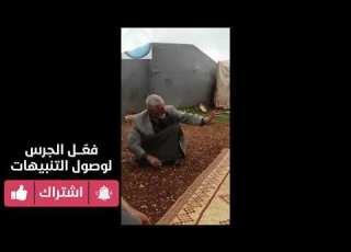 هوشه بين شايب وزوجته معركه بين عجوز وزوجته
