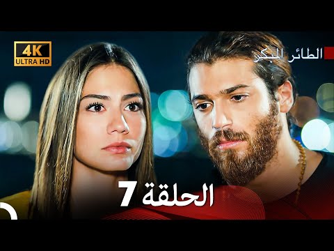 مسلسل الطائر المبكر الحلقة 7 4K Arabic Dubbed
