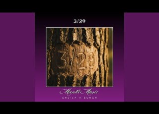  3 29