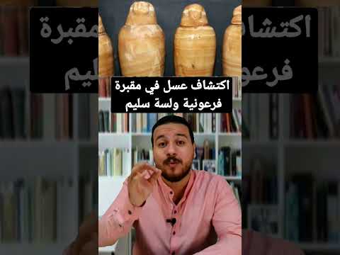 اكتشاف عسل في مقبرة فرعونية ولسة سليم