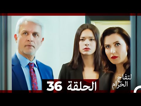 التفاح الحرام الحلقة ال 36 Arabic Dubbed HD
