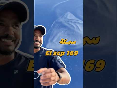 من أشرس الكائنات البحرية علي وجه الارض El Scp 169 غوص Diving