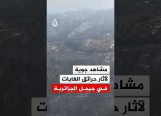  مشاهد جوية لآثار حرائق الغابات في جيجل الجزائرية