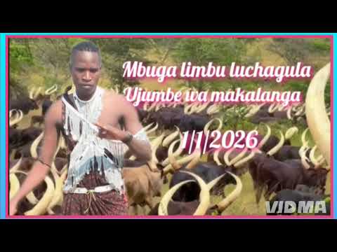 Mbuga Limbu Luchagula Jumbe Wa Makalanga 1 1 2026 Mpya