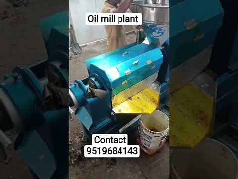 Oil Mill Tel Mill Shorts YouTube Shorts