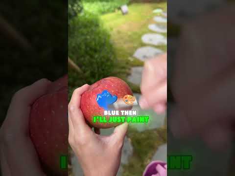 Gott Sei Dank War Langlang Dieses Mal Da Um Papa Zu Helfen Lustig