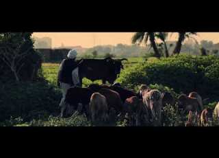  ولا هذه ولا تلك ولا الدنيا بما فيهاتساوي ملتقى النيلين في الخرطوم يا سمرا