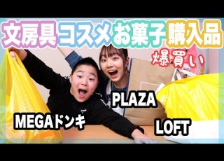  爆買い 文房具 コスメ 本気で買い出ししてきたから全部紹介します ベイビーチャンネル