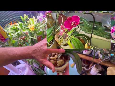 Show Ready March 2026