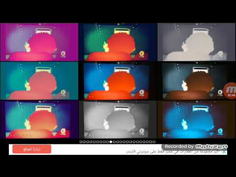 انشودة الخيارة طيور الجنة 3 Quadparison Mega Photo Version