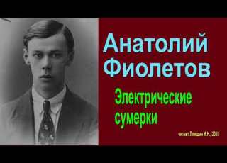  Анатолий Фиолетов Электрические сумерки