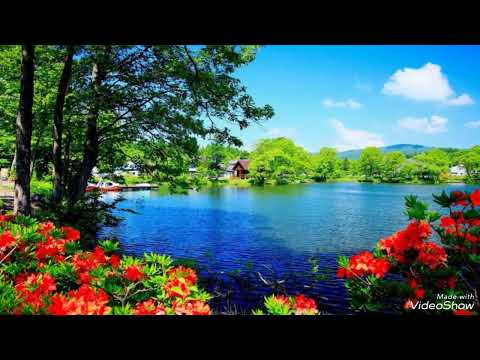 Kitna Pyaar Tumhain Eagle Jhankar Movie EK LADKA EK LADKI 1992 Singers KUMAR SANU SADHNA SARGAM