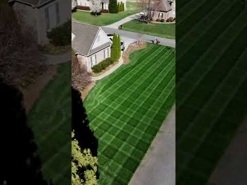 Ich Glaube Mein Rasen Ist Aus Dem Grab Auferstanden Grünerrasen