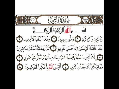 سورة التين تكرار كيفي من والتين والزيتون إلى أليس الله بأحكم الحاكمين سورة التين تكرار كيفي من والتين والزيتون إلى أليس الله بأحكم الحاكمين