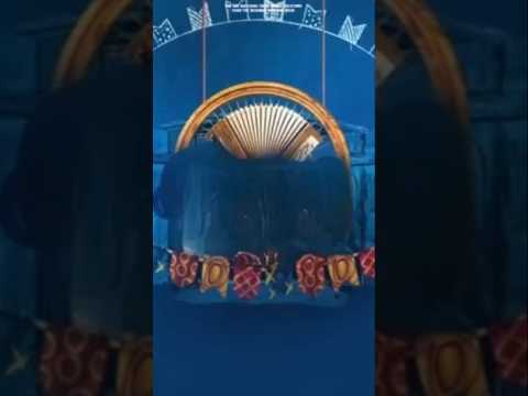 اغنيه احنا كيف الصقر فوق الفنانه اسيا