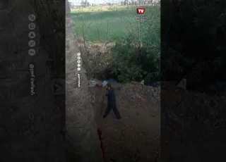 Security Forces Are Investigating A Video Showing An Attack On A Woman After She Was Thrown Into