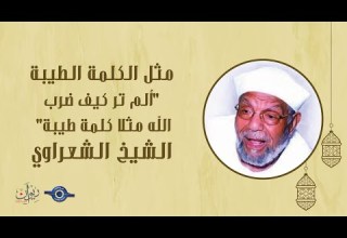 مثل الكلمة الطيبة ألم تر كيف ضرب الله مثلا كلمة طيبة تفسير الشعراوي