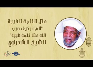 مثل الكلمة الطيبة ألم تر كيف ضرب الله مثلا كلمة طيبة تفسير الشعراوي