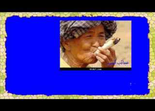 اغنية انا شارب ثلاثة استلا