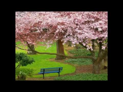 موسيقى التفاؤل والأمل جميلة جدآ