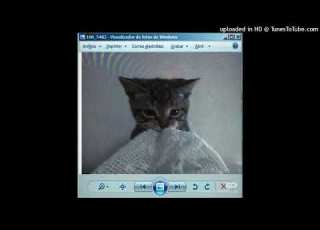 Free Digicore Type Beat Red Glitbe