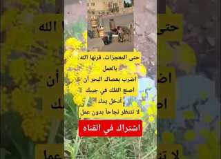  حتى المعجزات قرنها الله بالعملاضرب بعصاك البحر أن اصنع الفلك في جيبك أدخل يدكلا تنتظر نجاحا بدون