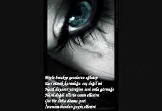 Dj Erdo Giderim Remix Wmv