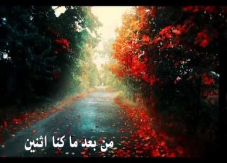  يا صاحبي وش صار في قلبي المحتار إليك صديقتي