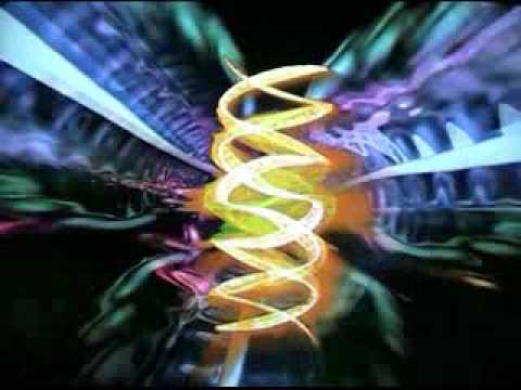 Both Lion And Lamb Wayside And Wayside Remix