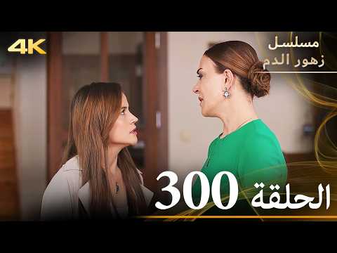 الحلقة 300 مسلسل زهور الدم مدبلج بالعربية Kan Çiçekleri جودة 4K