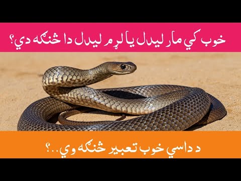 په خوب کي مار لړم ليدل څنګه وي Pa Khob Ki Mar Laram Lidal Sanga V Tabir تعبیر Zubairkhanpak