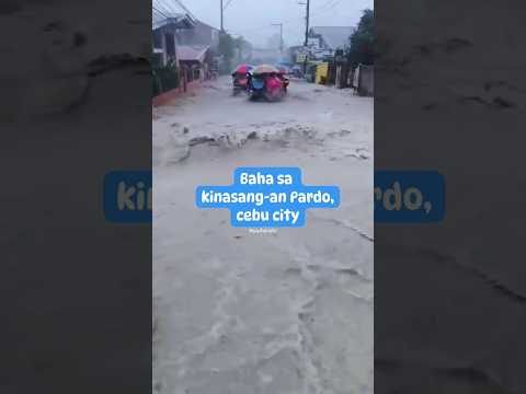 Baha Sa Kinasang An Pardo Cebu City Baha Cebu Cebucity Short Shorts Baha Sa Kinasang An Pardo Cebu City Baha Cebu Cebucity Short Shorts