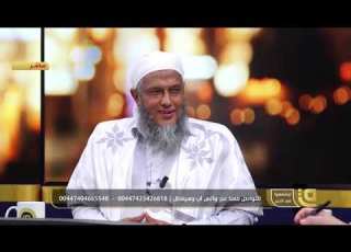  حكم الانتساب للجيوش العربية فضيلة الشيخ محمد ان الددو يجيب