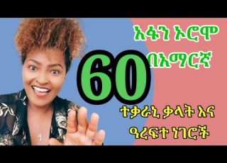 Learn Afan Oromo አፋን ኦሮሞን በአማርኛ English Conversation Afaan Oromoo ተቃራኒ ቃላቶችOromo Kemo Tube