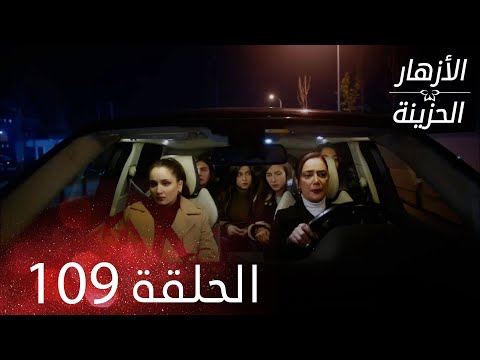 الأزهار الحزينة الحلقة 109 كاملة Kırgın Çiçekler