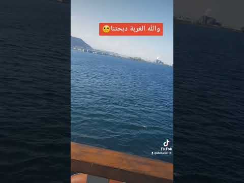 يابيت الاحباب الغربة هدتنا