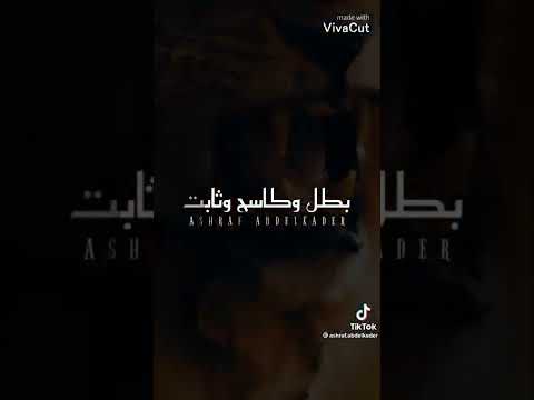 الأسد يتحدث احمد سعد