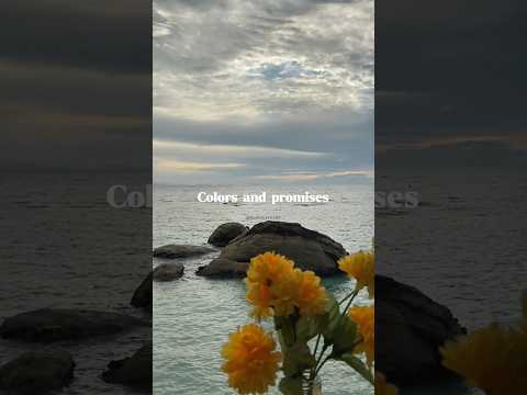 A Thousand Years Lyrics Christina Perri Heart Beats Fast Colors And Promises Lyrics Song