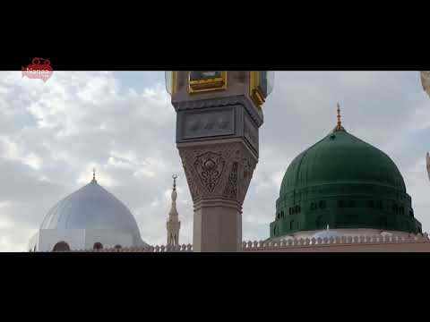 رأيت الناس افواجا وبحر الحب امواجا الشيخ نورين محمد صديق رحمه الله