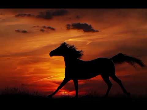 نشيد وداعا أيها البطل مع الخاتمة انشاد ابو أسيد